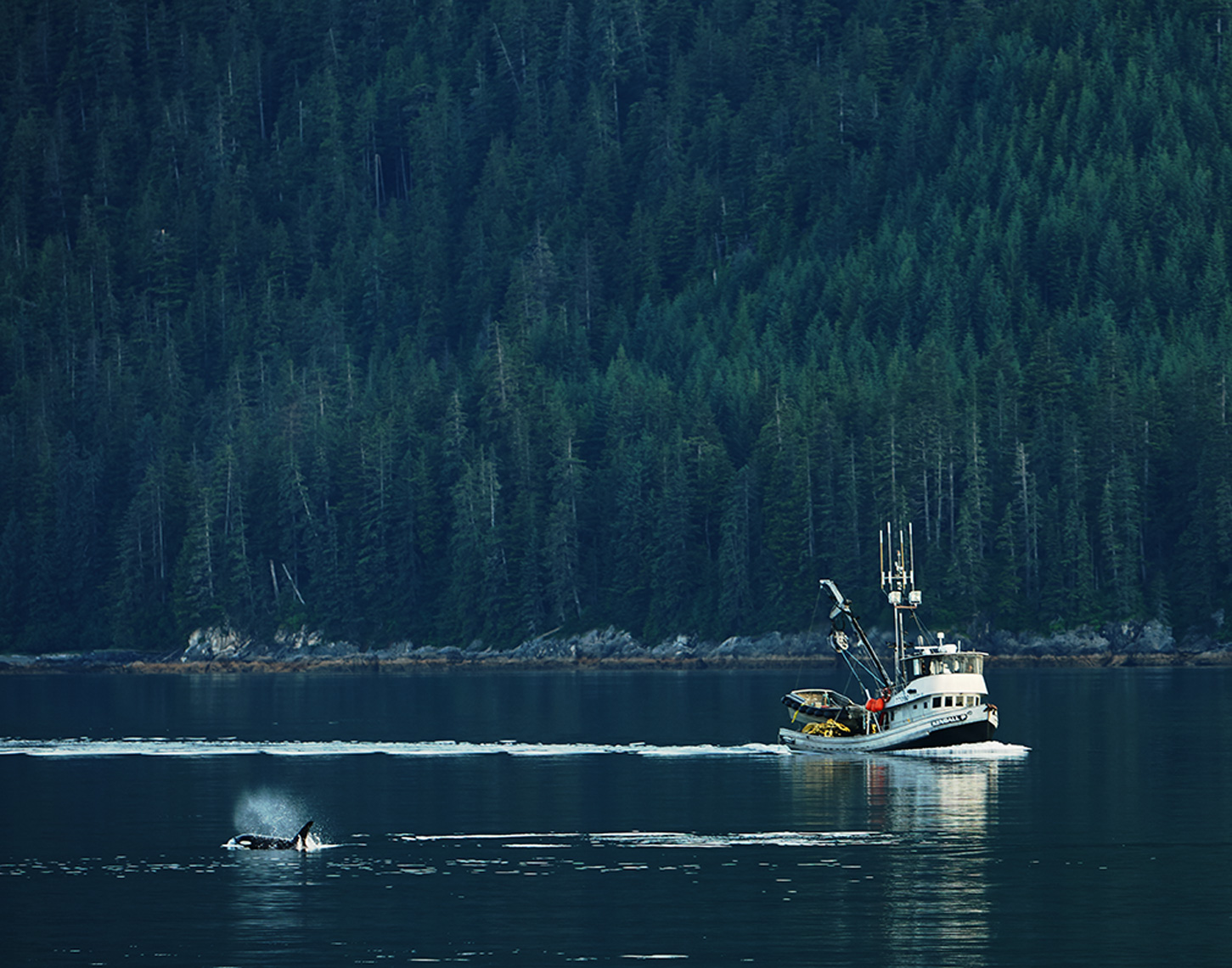 06-28-2017_fishing_boat_orca