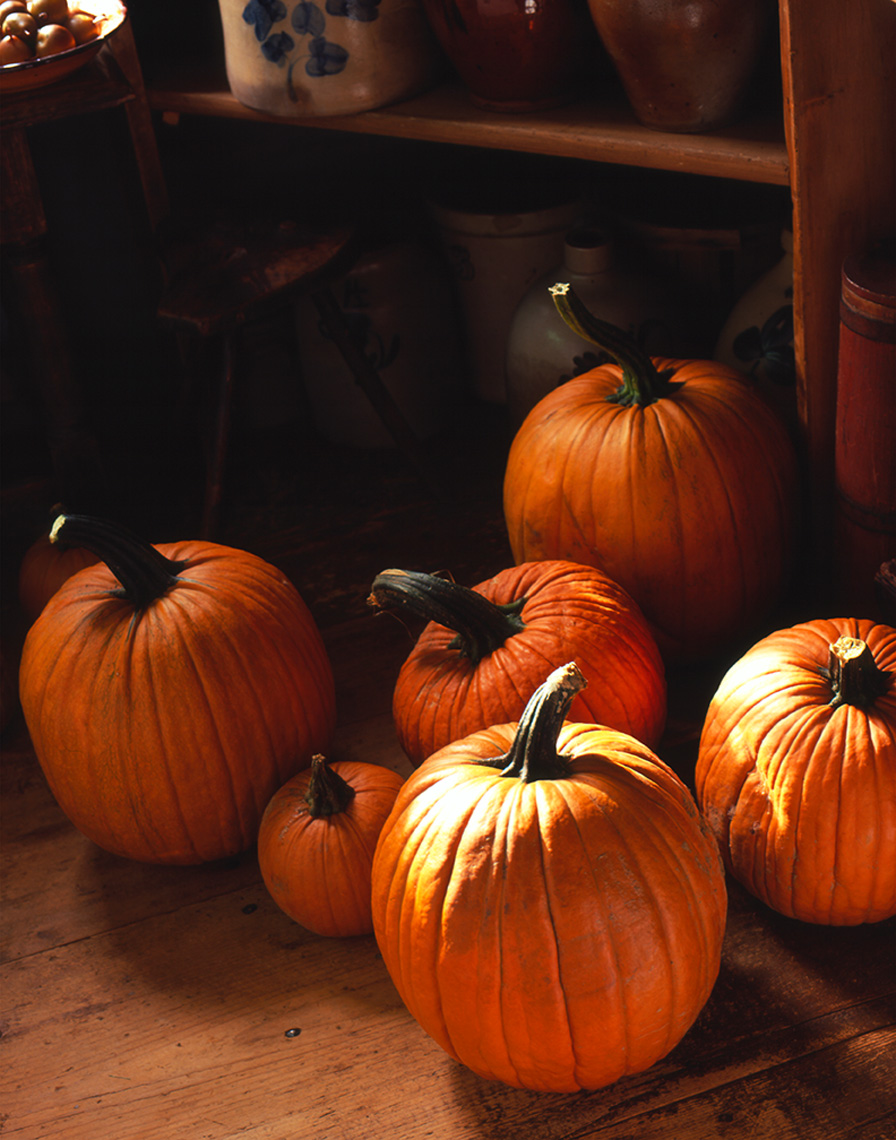 pumpkins in country pantry